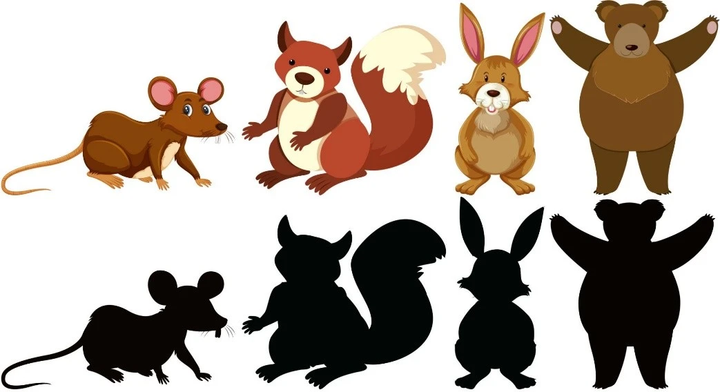 animal illustration 5 animal illustration 5